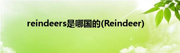 reindeers是哪国的(Reindeer)