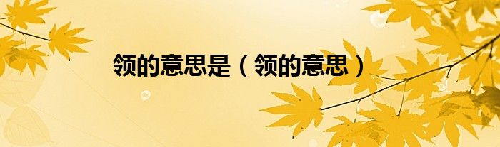 领的意思是（领的意思）