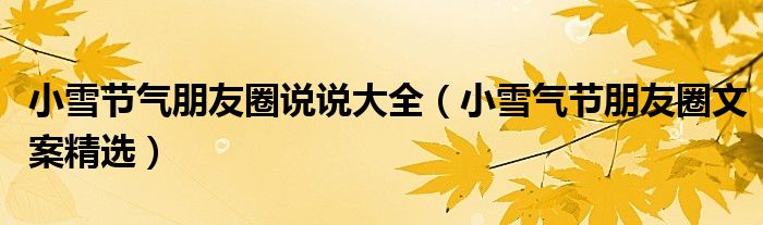 小雪节气朋友圈说说大全（小雪气节朋友圈文案精选）