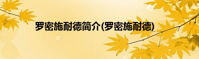 罗密施耐德简介(罗密施耐德)