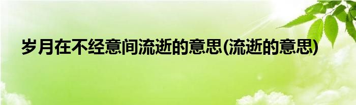 岁月在不经意间流逝的意思(流逝的意思)