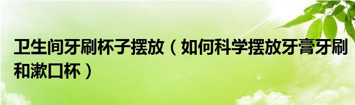 卫生间牙刷杯子摆放（如何科学摆放牙膏牙刷和漱口杯）