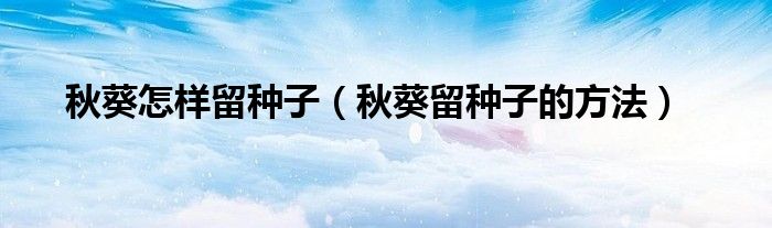 秋葵怎样留种子（秋葵留种子的方法）