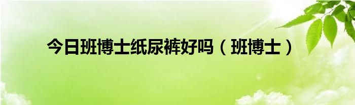 今日班博士纸尿裤好吗（班博士）