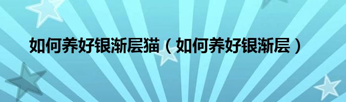 如何养好银渐层猫（如何养好银渐层）