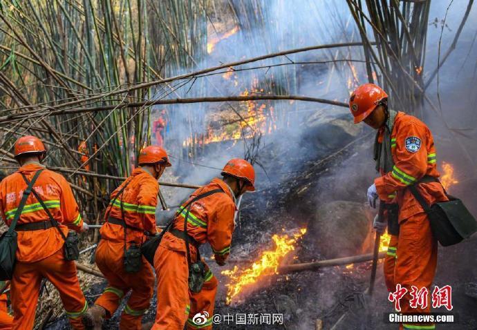 重庆多处山火得到有力压制 目前火势可控无人员伤亡