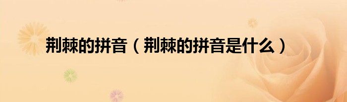 荆棘的拼音（荆棘的拼音是什么）