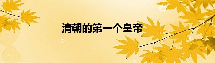 清朝的个皇帝