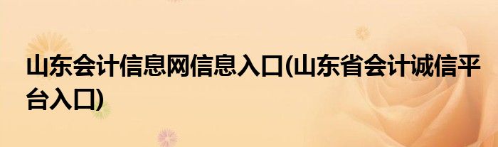 山东会计信息网信息入口(山东省会计诚信平台入口)