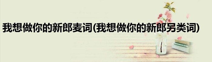 我想做你的新郎麦词(我想做你的新郎另类词)