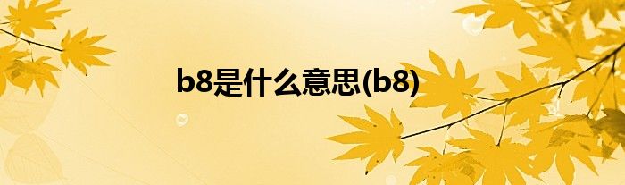 b8是什么意思(b8)