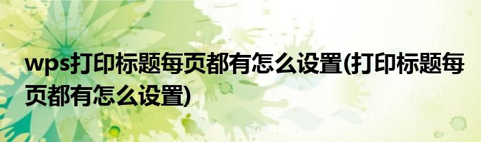 wps打印标题每页都有怎么设置(打印标题每页都有怎么设置)