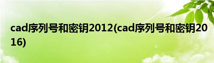 cad序列号和密钥2012(cad序列号和密钥2016)