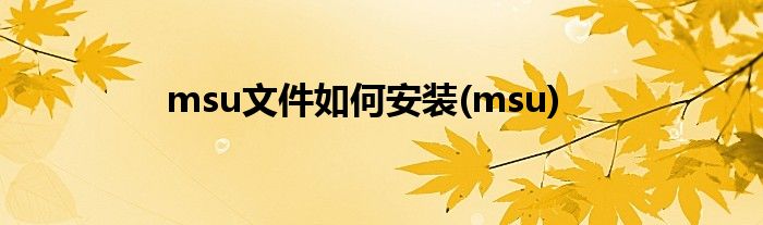 msu文件如何安装(msu)