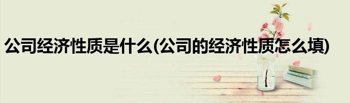公司经济性质是什么(公司的经济性质怎么填)