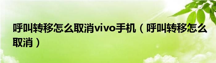呼叫转移怎么取消vivo手机（呼叫转移怎么取消）