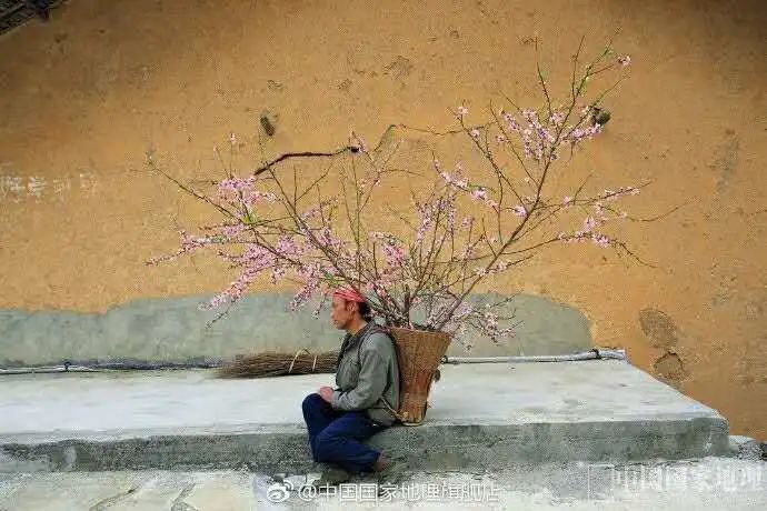 诗·心志丨张希文：背上一棵树告别故乡