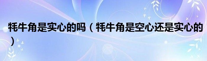 牦牛角是实心的吗（牦牛角是空心还是实心的）