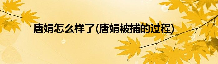 唐娟怎么样了(唐娟被捕的过程)