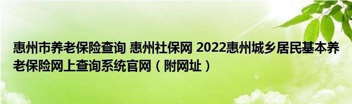 惠州市养老保险查询 惠州社保网 2022惠州城乡居民基本养老保险网上查询系统官网（附网址）