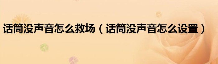 话筒没声音怎么救场（话筒没声音怎么设置）