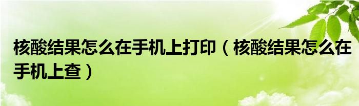 核酸结果怎么在手机上打印（核酸结果怎么在手机上查）