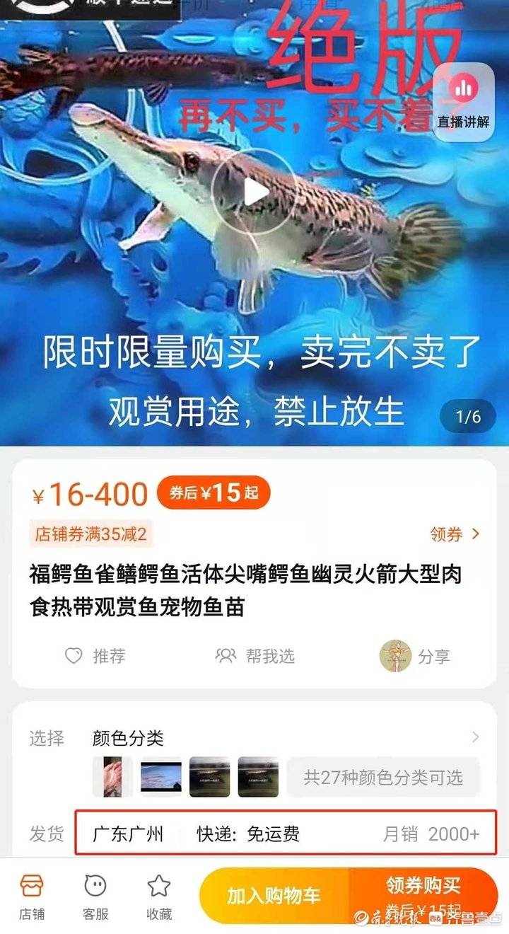 电商平台鳄雀鳝仍在隐蔽售卖！月销两千，有商家称售完即止