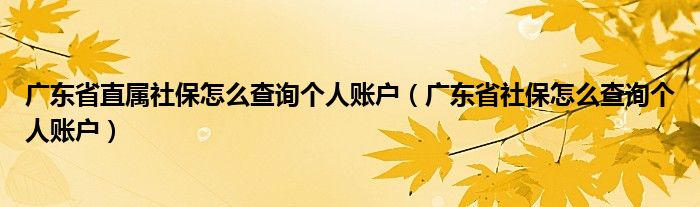 广东省直属社保怎么查询个人账户（广东省社保怎么查询个人账户）