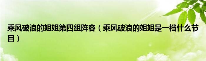 乘风破浪的姐姐第四组阵容（乘风破浪的姐姐是一档什么节目）