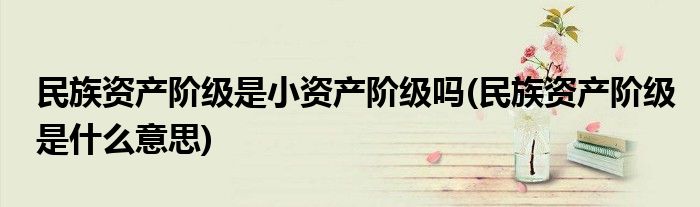 民族资产阶级是小资产阶级吗(民族资产阶级是什么意思)
