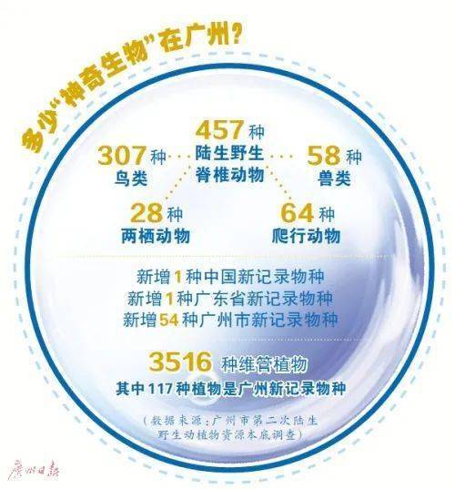 这些“神奇生物”曾一度消失，如今再现珠江流域……