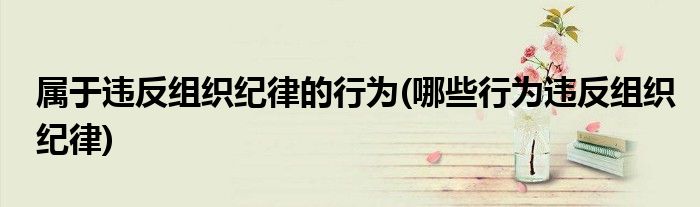 属于违反组织纪律的行为(哪些行为违反组织纪律)