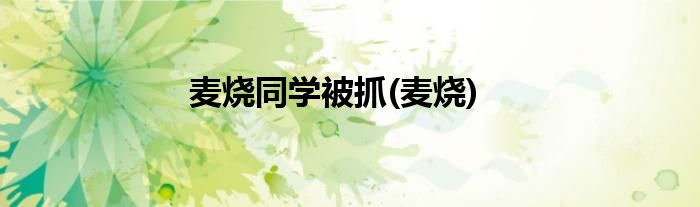 麦烧同学被抓(麦烧)