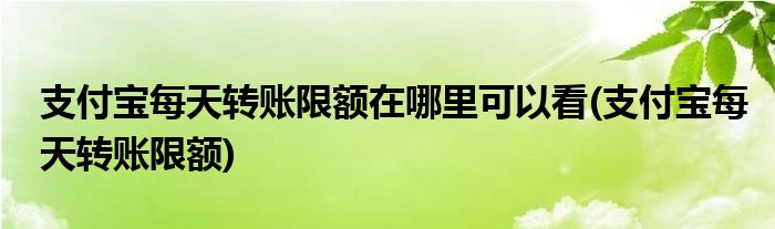 支付宝每天转账限额在哪里可以看(支付宝每天转账限额)