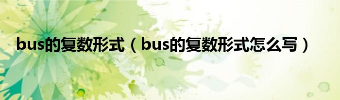 bus的复数形式（bus的复数形式怎么写）
