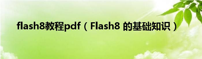 flash8教程pdf（Flash8 的基础知识）