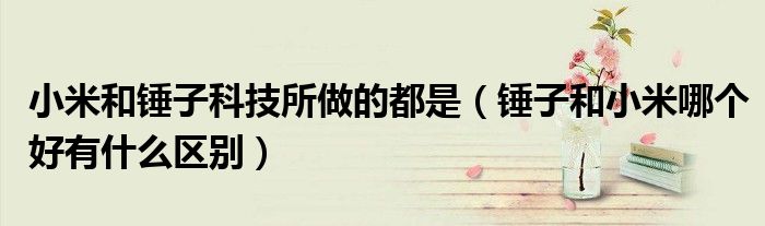 小米和锤子科技所做的都是（锤子和小米哪个好有什么区别）