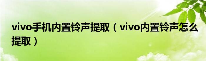 vivo手机内置铃声提取（vivo内置铃声怎么提取）