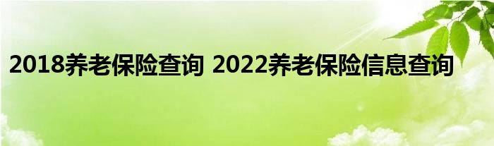 2018养老保险查询 2022养老保险信息查询