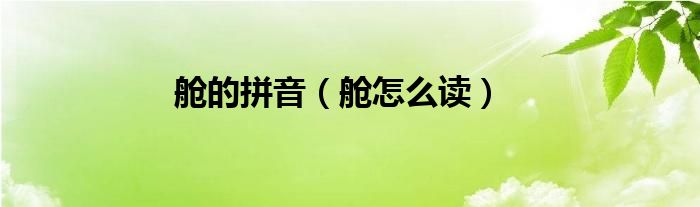 舱的拼音（舱怎么读）