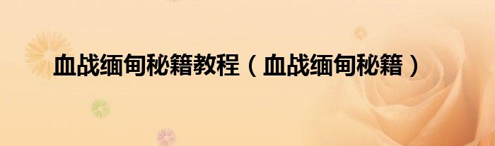 血战缅甸秘籍教程（血战缅甸秘籍）