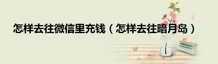 怎样去往微信里充钱（怎样去往暗月岛）