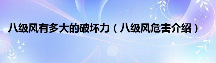 八级风有多大的破坏力（八级风危害介绍）
