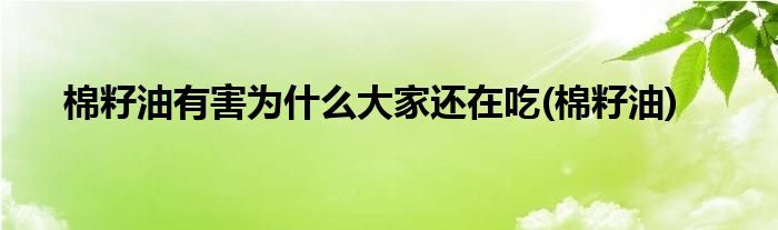 棉籽油有害为什么大家还在吃(棉籽油)