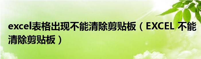 excel表格出现不能清除剪贴板（EXCEL 不能清除剪贴板）