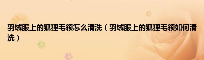 羽绒服上的狐狸毛领怎么清洗（羽绒服上的狐狸毛领如何清洗）