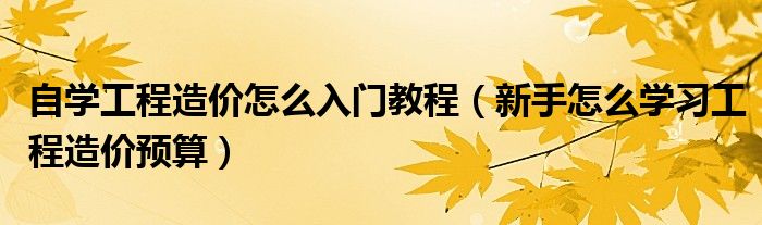 自学工程造价怎么入门教程（新手怎么学习工程造价预算）