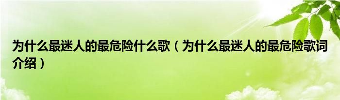 为什么最迷人的最危险什么歌（为什么最迷人的最危险歌词介绍）