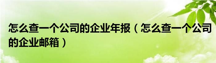 怎么查一个公司的企业年报（怎么查一个公司的企业邮箱）