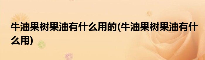 牛油果树果油有什么用的(牛油果树果油有什么用)